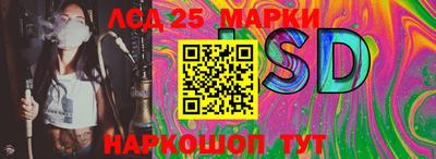 мдпв Донецк
