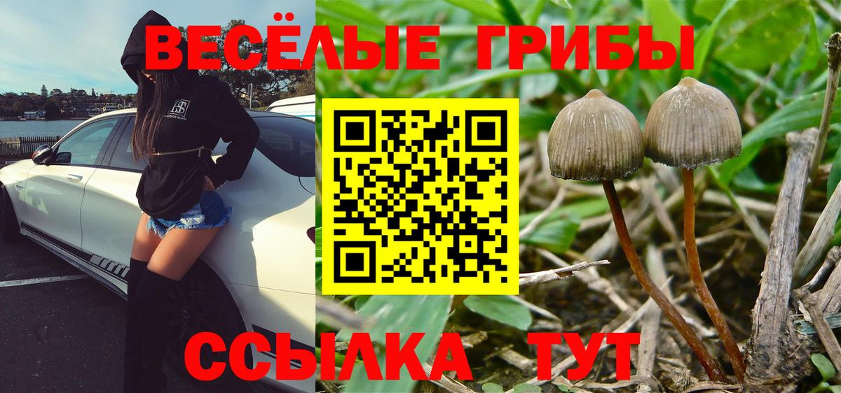 Миасс  Галлюциногенные грибы мухоморы  Вход с VPN 