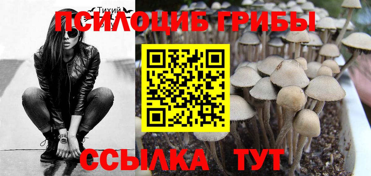 Галлюциногенные грибы Psilocybine cubensis Миасс